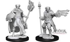 Dungeons & Dragons Nolzur`s Marvelous Unpainted Miniatures: W13 Multiclass Cleric + Wizard Male